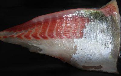 シマアジのお刺身はやっぱり美味しい！築地で買えるお店もご紹介！