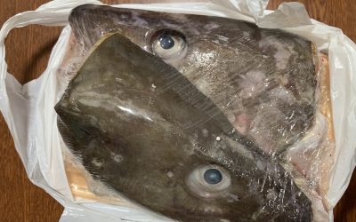 タラの頭で鍋と雑炊をキメた