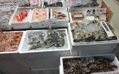 天使のエビをお刺身で食べる！築地で買えるお店やおススメレシピもご紹介！