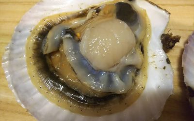 築地で殻付きホタテを買ってお刺身でいただく！