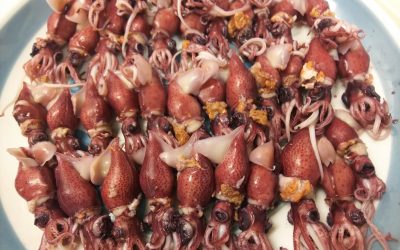 東京・築地でも買える！生ホタルイカを自宅で茹でてみた