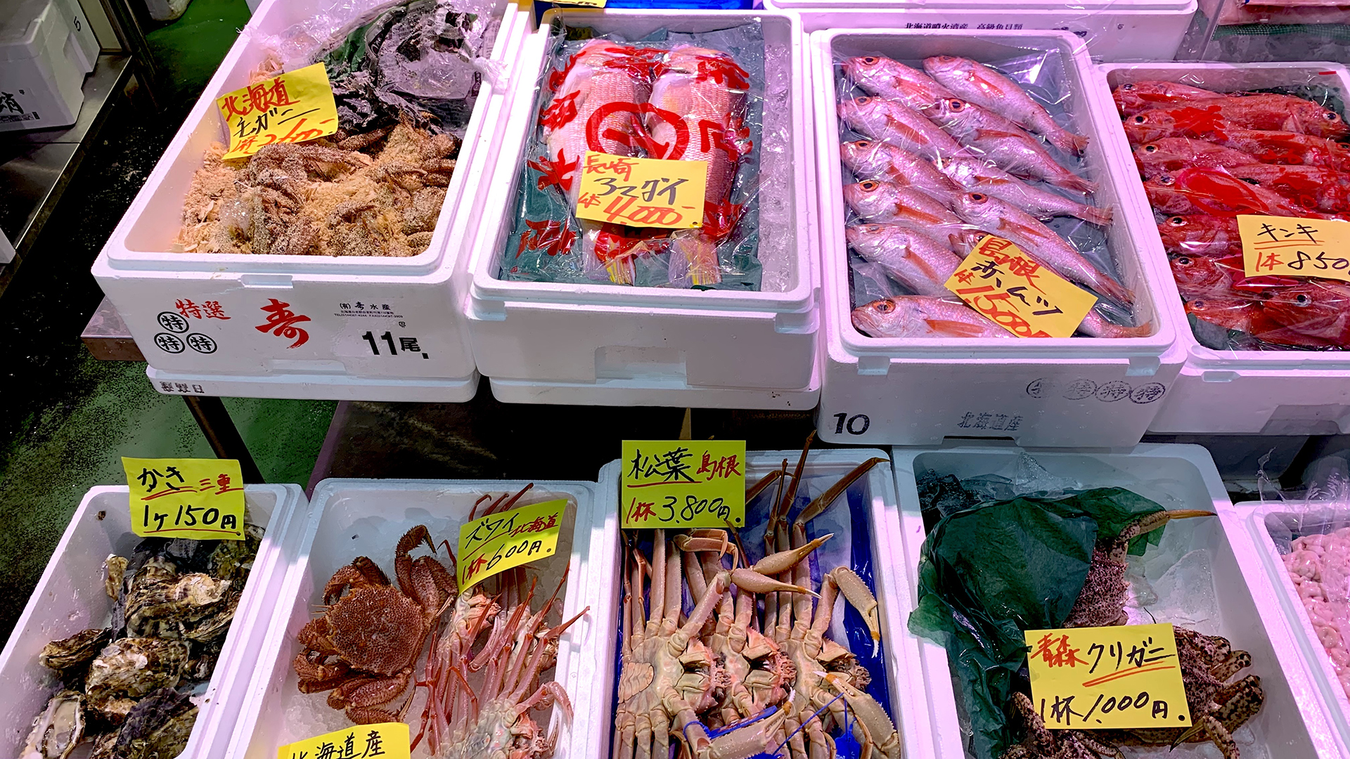 新鮮な築地/豊洲市場の鮮魚の写真