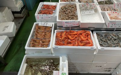 5月29日の築地魚河岸 店頭レポート