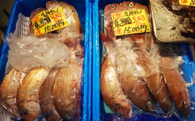 5月15日の築地魚河岸 店頭レポート
