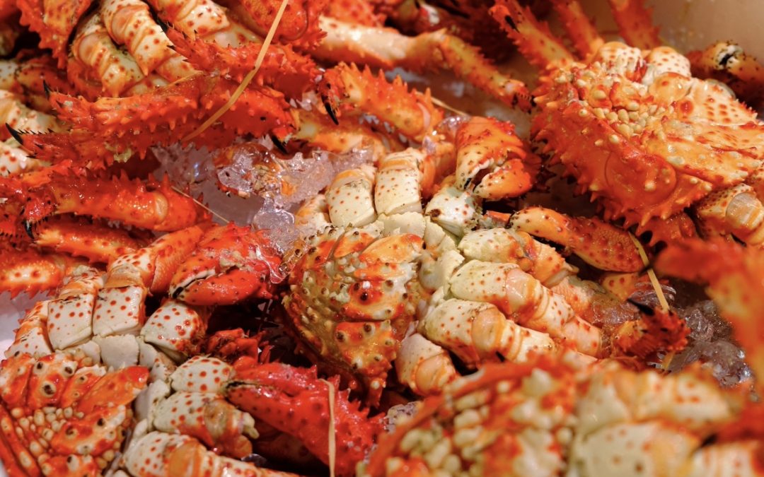 7月10日の築地魚河岸 店頭レポート