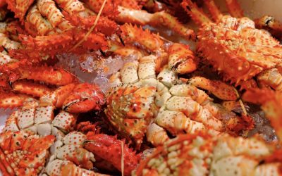 7月10日の築地魚河岸 店頭レポート