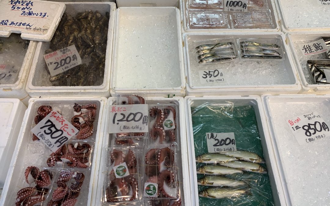 7月31日の築地魚河岸 店頭レポート