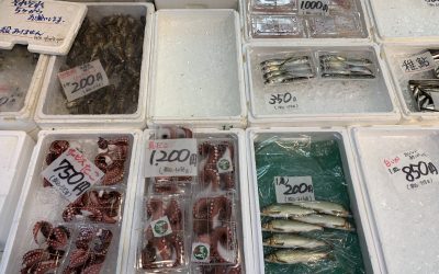 7月31日の築地魚河岸 店頭レポート