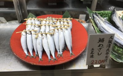 8月21日の築地魚河岸 店頭レポート