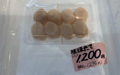 8月28日の築地魚河岸 店頭レポート