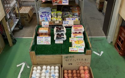 8月7日の築地魚河岸 店頭レポート
