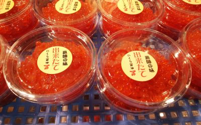 10月9日の築地魚河岸 店頭レポート