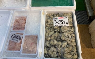 10月16日の築地魚河岸 店頭レポート