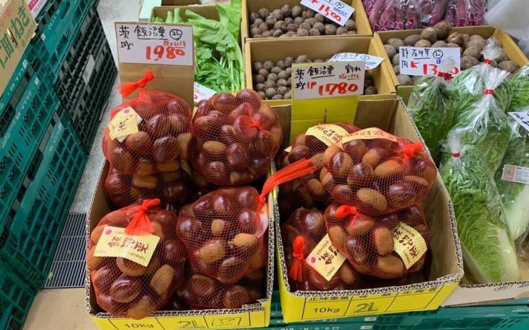 10月23日の築地魚河岸 店頭レポート