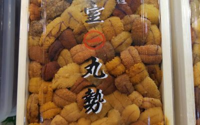 22年2月19日の築地魚河岸 店頭レポート