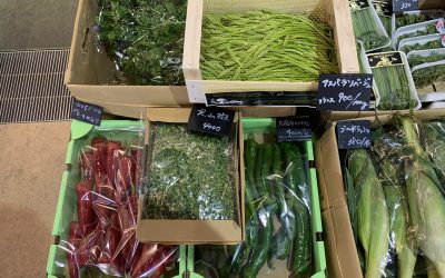 22年5月21日の築地魚河岸 店頭レポート