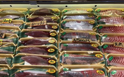 22年8月27日の築地魚河岸 店頭レポート