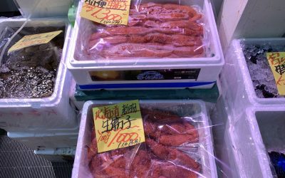22年8月6日の築地魚河岸 店頭レポート
