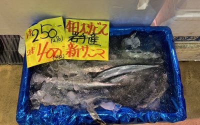 22年9月10日の築地魚河岸 店頭レポート
