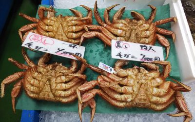 22年10月22日の築地魚河岸 店頭レポート
