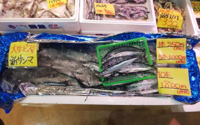 22年10月15日の築地魚河岸 店頭レポート