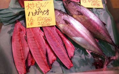 22年10月29日の築地魚河岸 店頭レポート