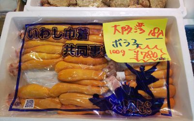 22年11月5日の築地魚河岸 店頭レポート