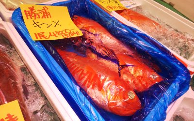 2023年5月 築地のサブちゃん注目商品ご紹介!!