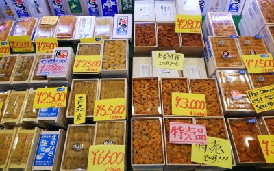 東京・築地でウニを購入するならココ！美味しいウニが買えるおすすめのお店・仲卸をご紹介！