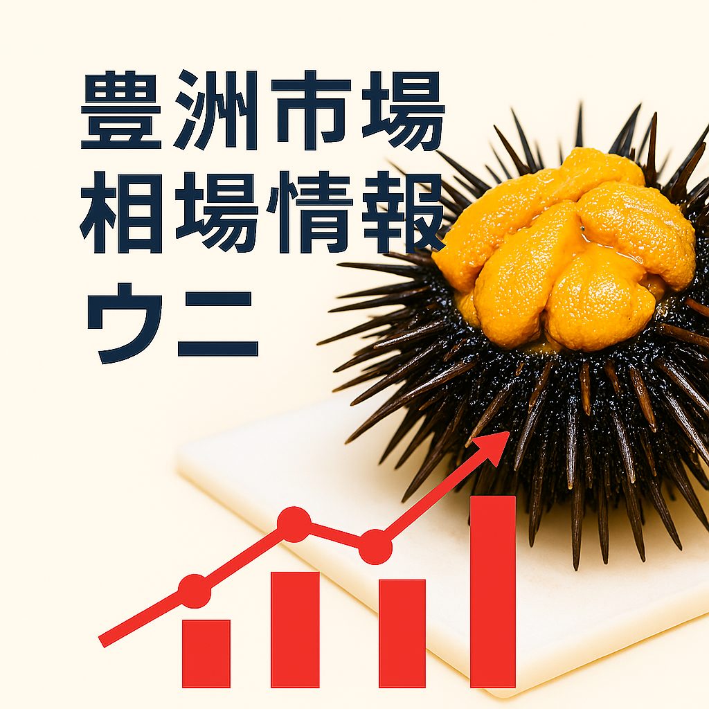 豊洲市場ウニ相場レポート | 2025年11月第2週(11月2日-11月8日) | 価格推移・卸値・市況まとめ - 築地のサブちゃん