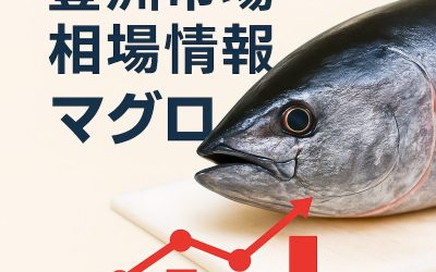 豊洲市場マグロ相場レポート | 2025年11月第2週(11月2日-11月8日) | 価格推移・卸値・市況まとめ