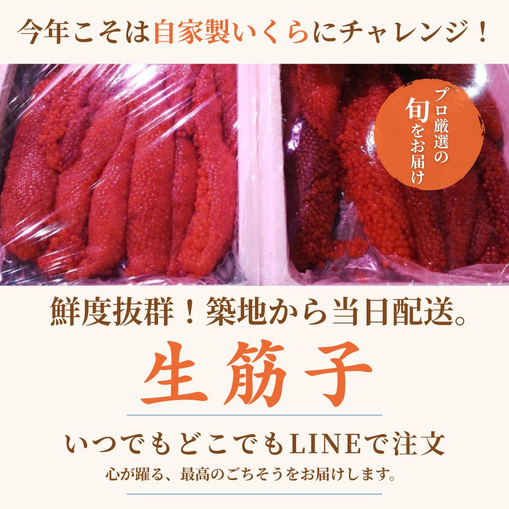 生筋子