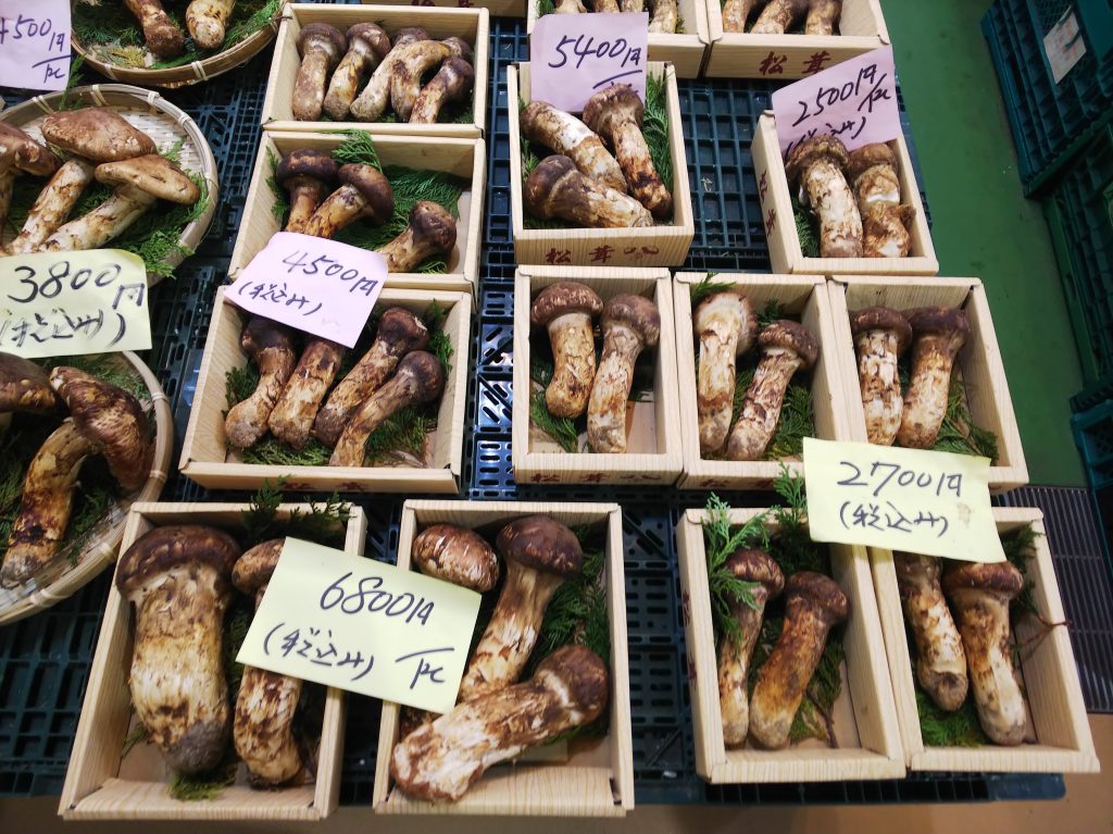 尾坪水産