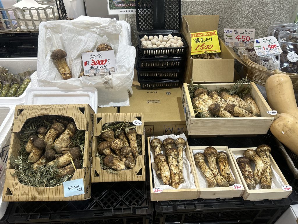 定松のマツタケ