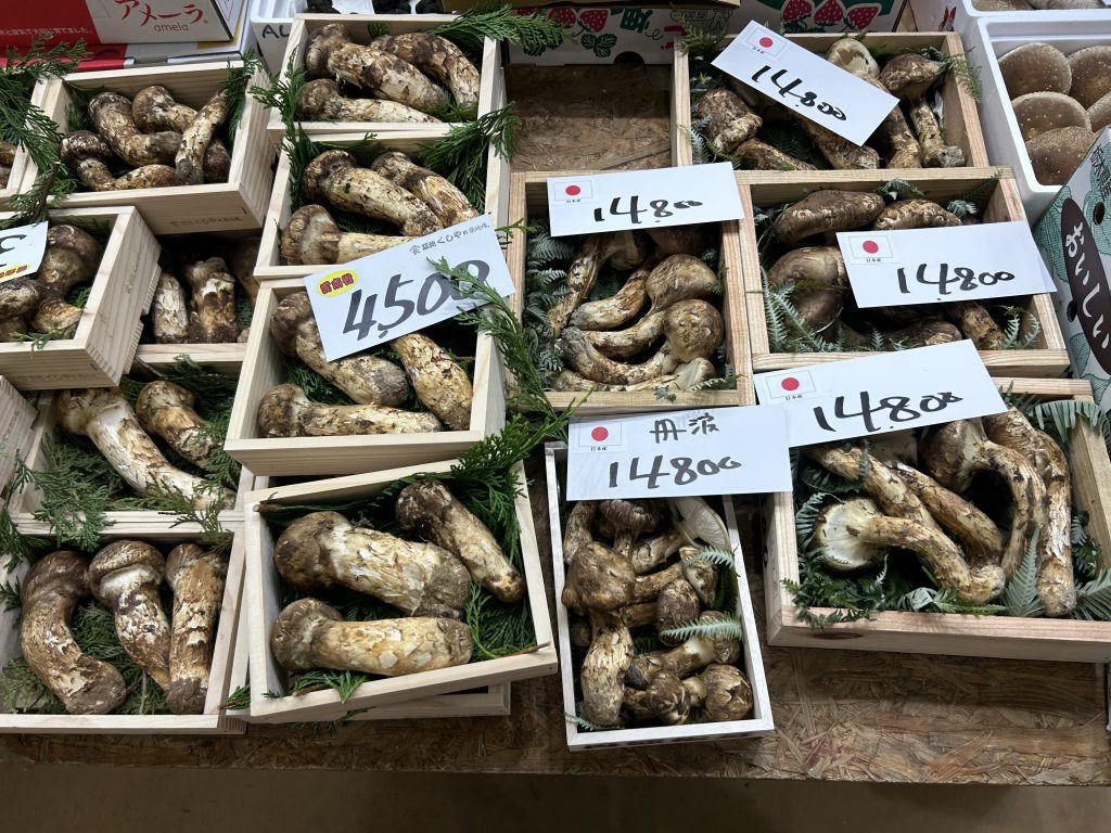 国産マツタケと輸入マツタケ