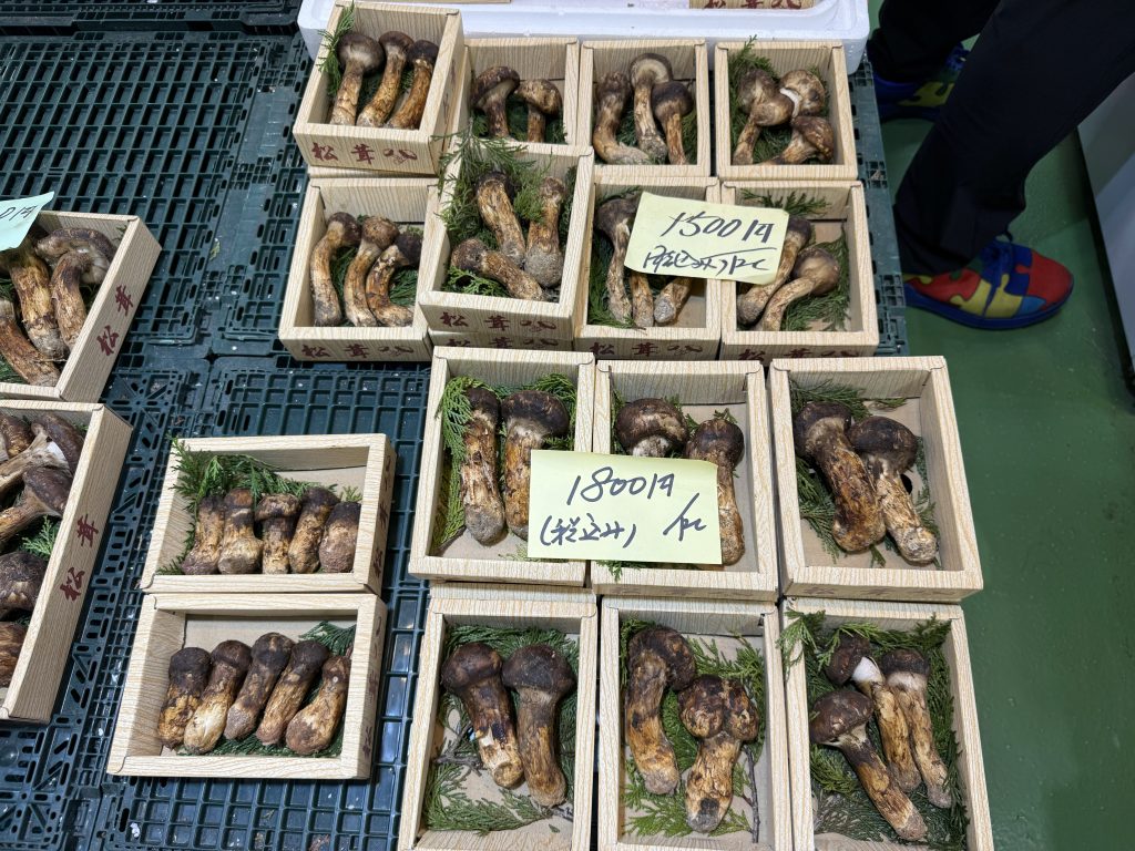 尾坪水産のマツタケ