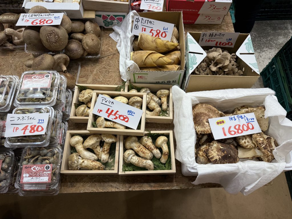 アメリカ産マツタケ