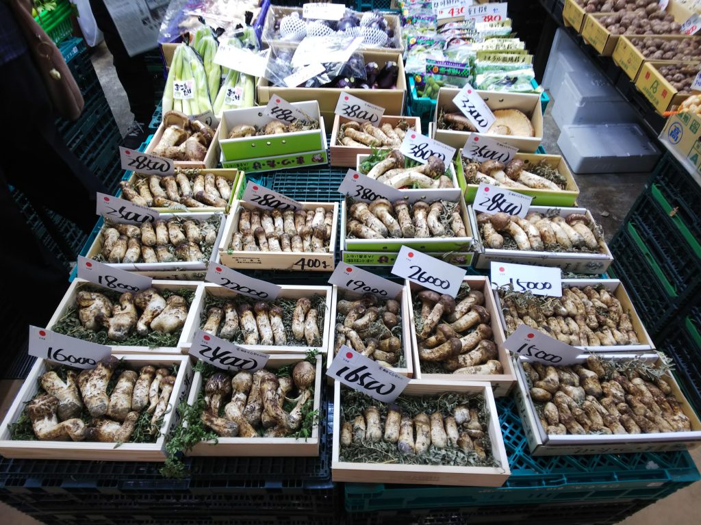 くしやのマツタケ