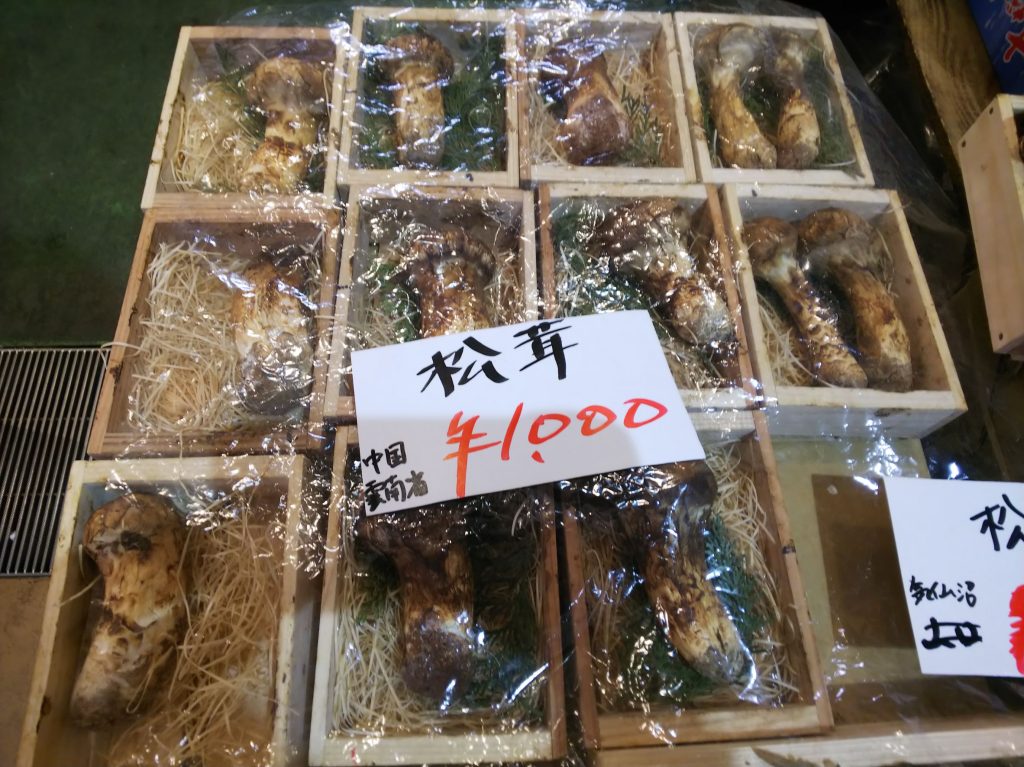 マツタケ