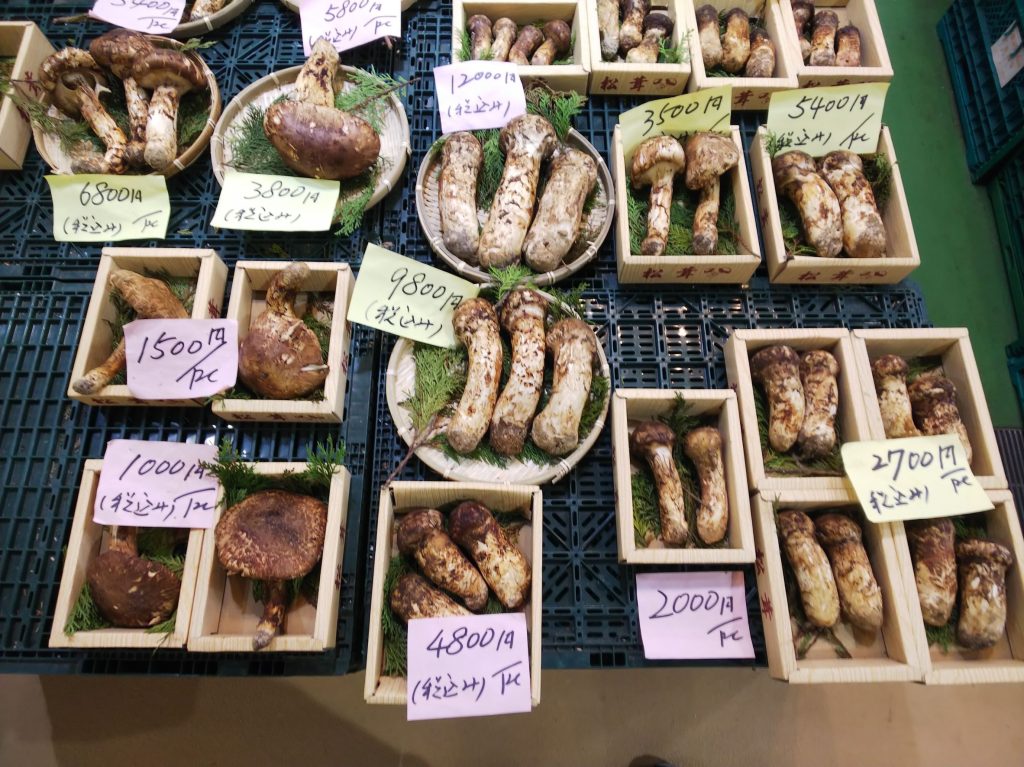 尾坪水産のマツタケ