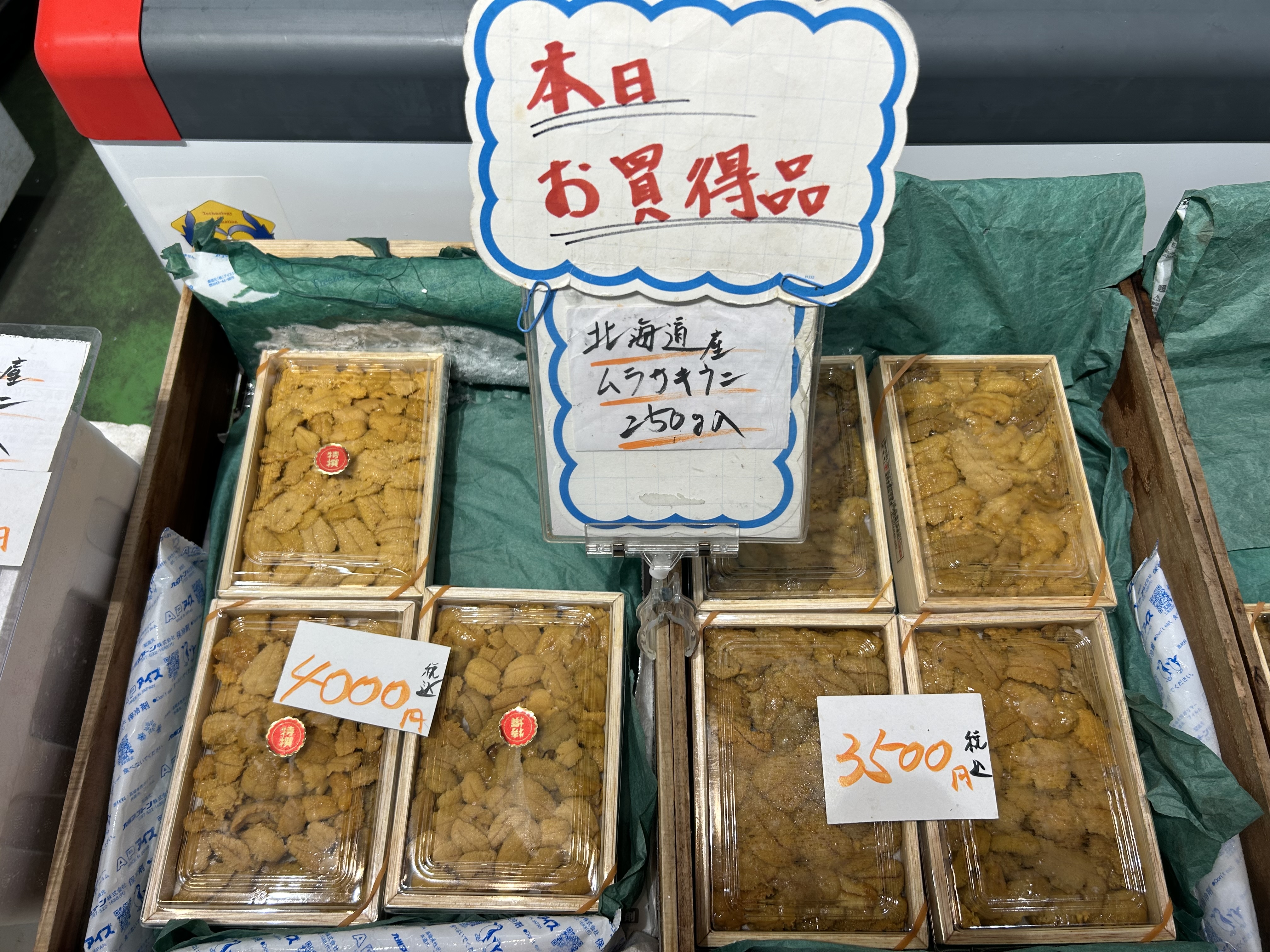 ウニ