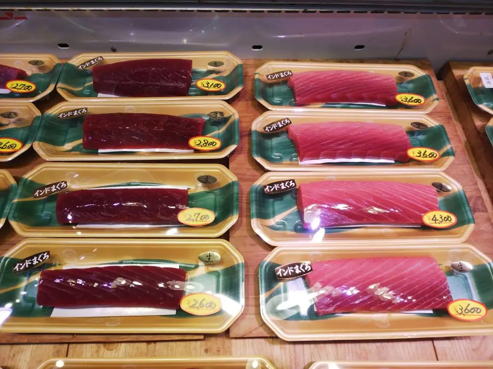 インドマグロ