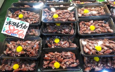 2026年3月 築地のサブちゃん注目商品ご紹介!!