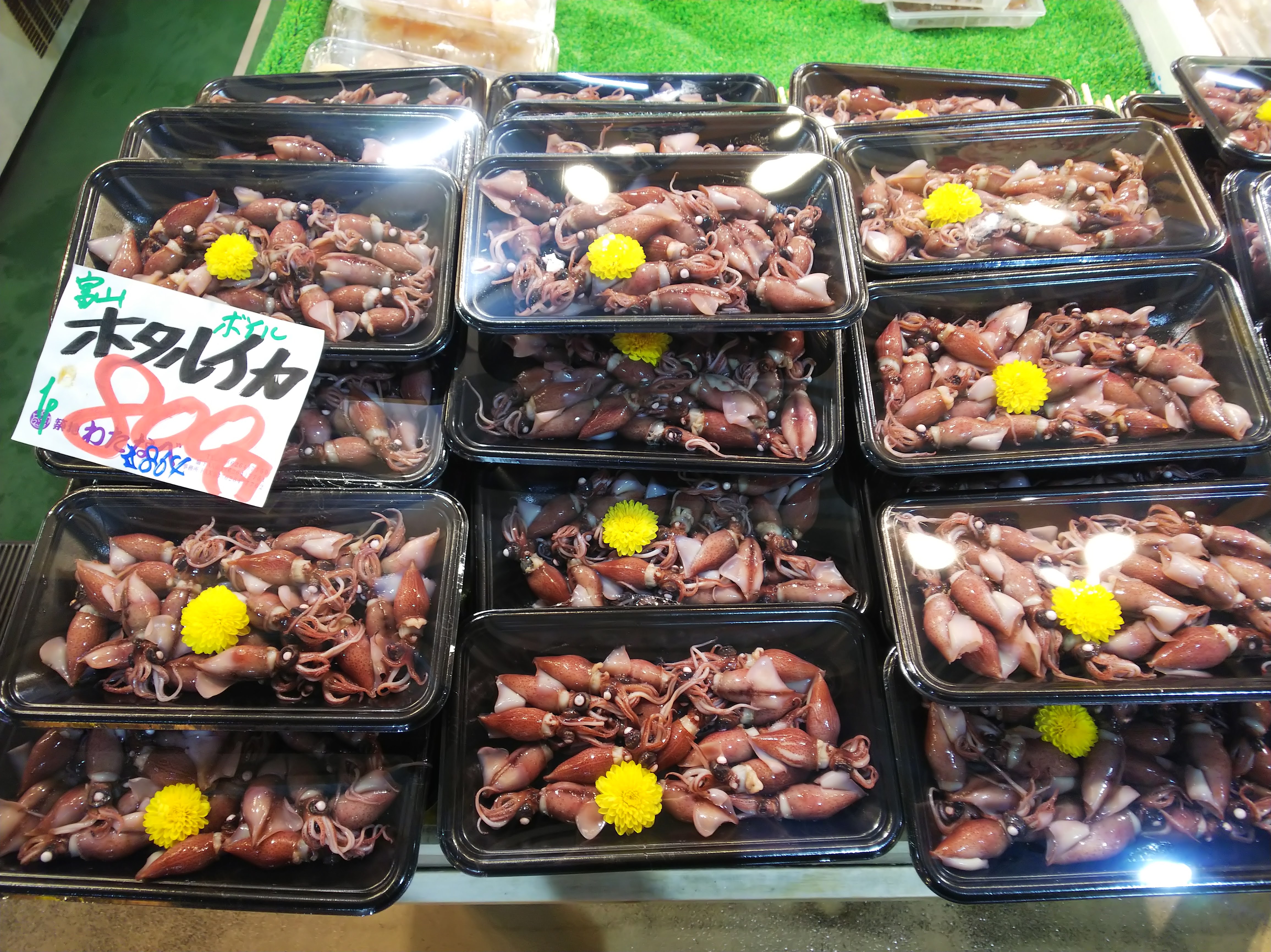 わたなべのホタルイカ