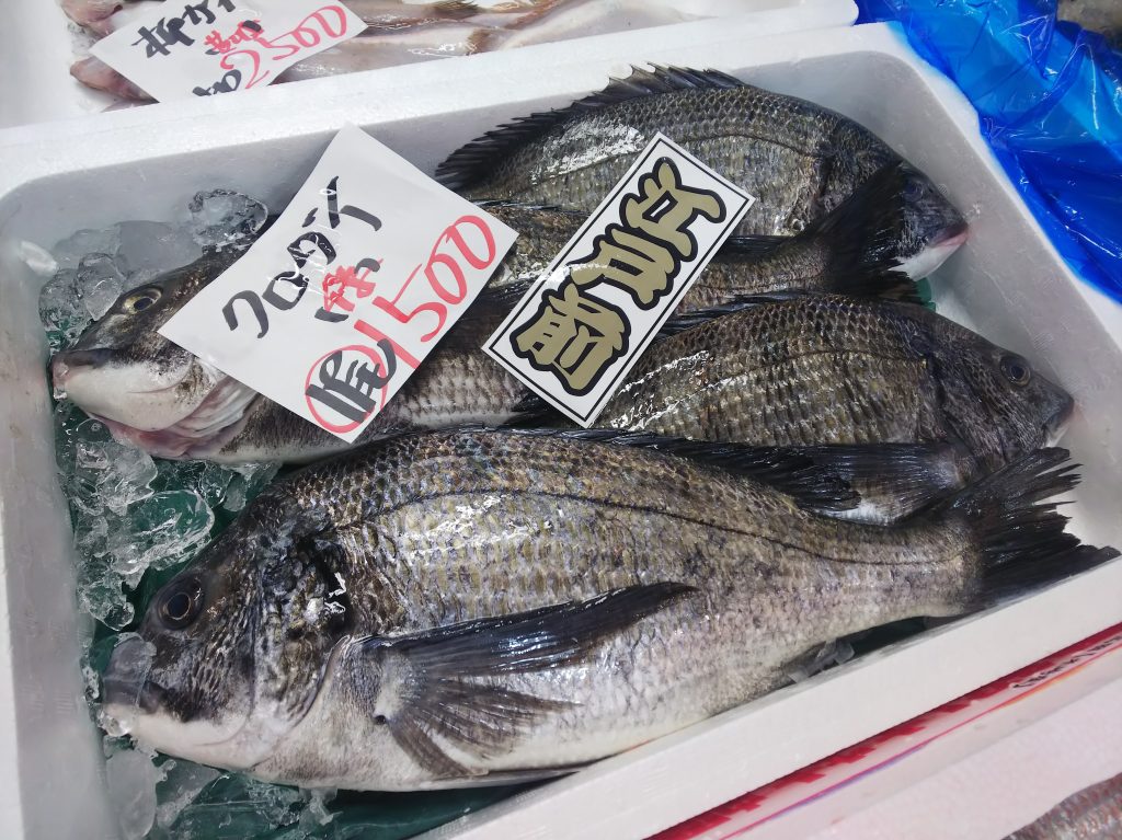 山治の江戸前クロダイ