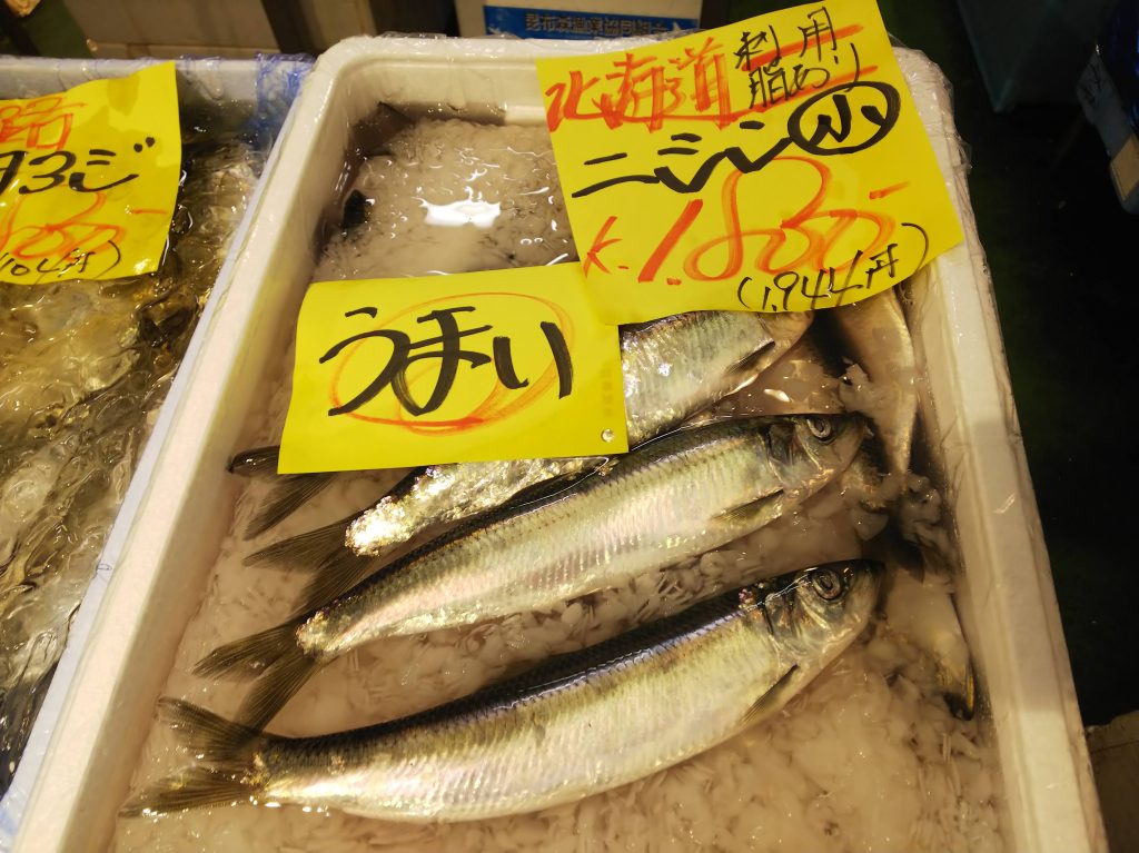 刺身用ニシン