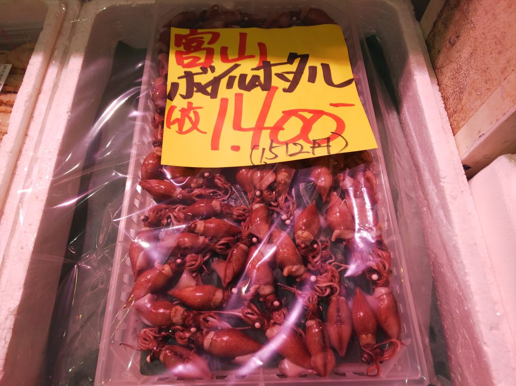 富山産ホタルイカ