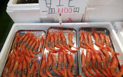2026年5月 築地のサブちゃん注目商品ご紹介!!