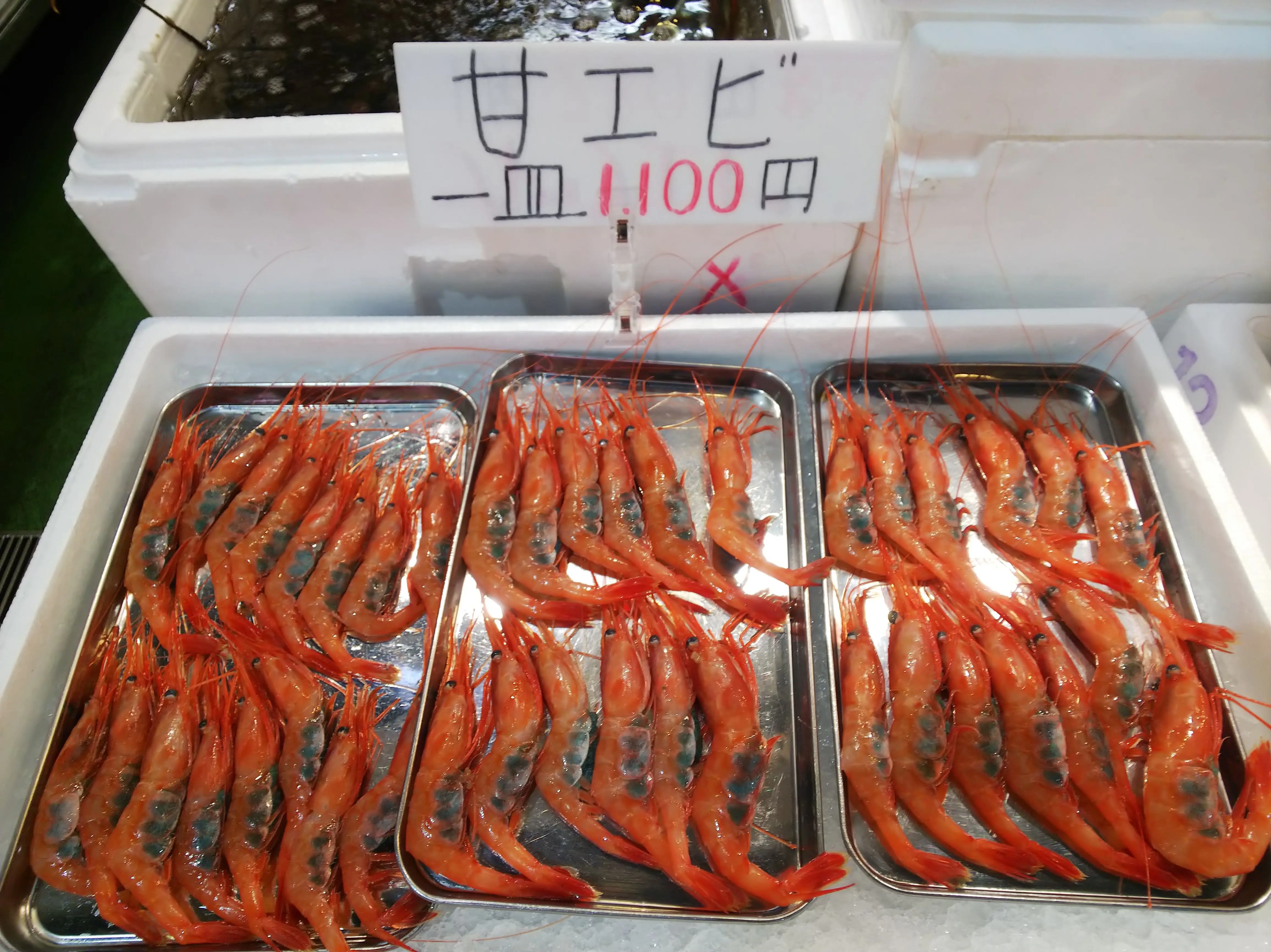 甘エビ