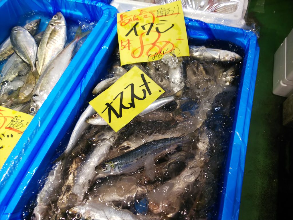 イワシ イワシ